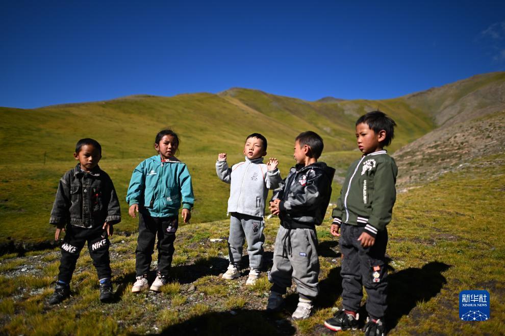 下载新赌场